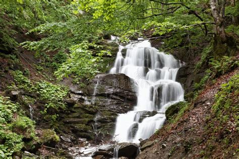 Waterfall In A Green Forest Stock Photo Image Of Beauty Forest