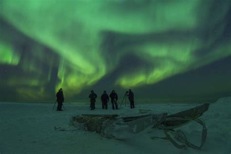 Arctic Bucket List Experiences Polar Bears And Northern Lights Arctic