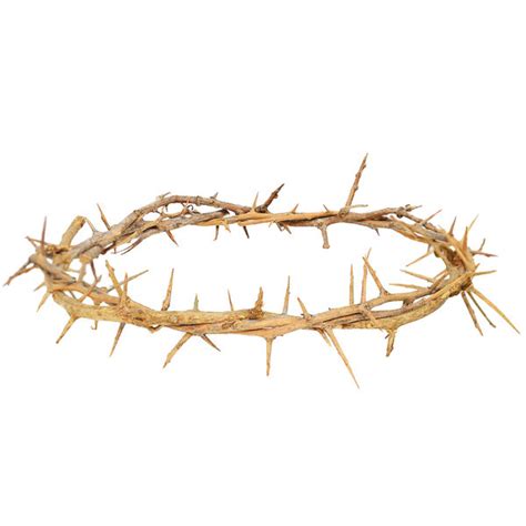 Jesus Crown Of Thorns Replica From Jerusalem Life Size