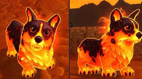 Oh My God World Of Warcraft Has A Lava Corgi Pet