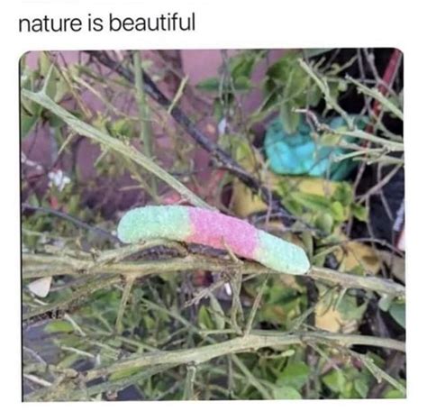 Pin On Nature Cant Be More Awesome