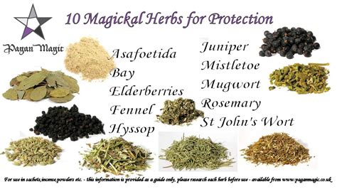 Magickal Protective Herbs For Use In Powders Sachets Incense Etc Magic Herbs Herbal