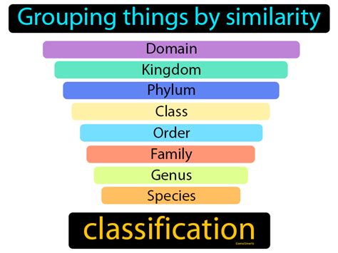 Classification Definition And Image Gamesmartz