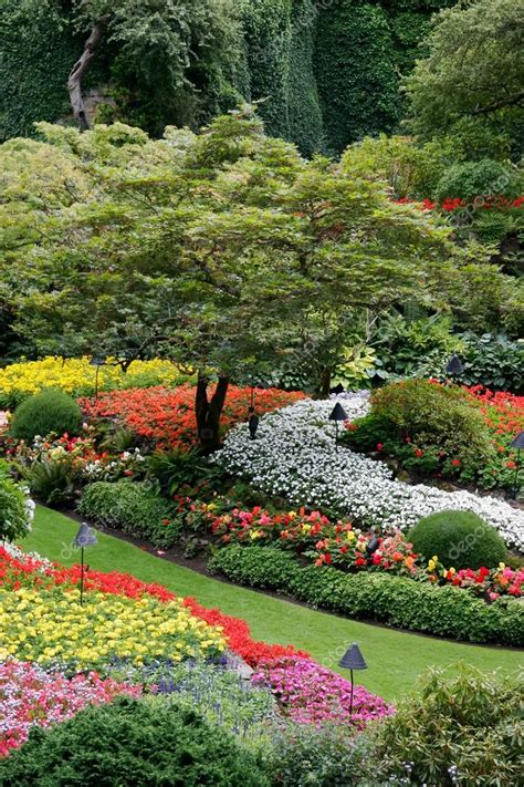 Impresionante Exhibici N Floral En Butchart Gardens Fotograf A De