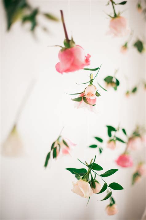 Do cut flowers live better in fresh water, salt water, or sugar water? Pro Tips: How to Make Your Flowers Last | lark & linen