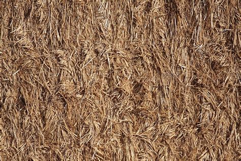 Straw Roof Texture Seamless