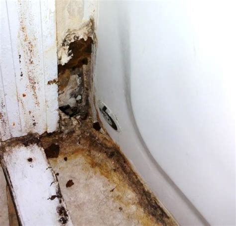 Even so, this doesn't make them any more pleasant, or any easier to resolve. Shower leaking through ceiling: DIY repair? - Page 2 ...