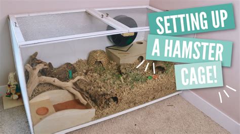 How To Setup A Hamster Cage Youtube