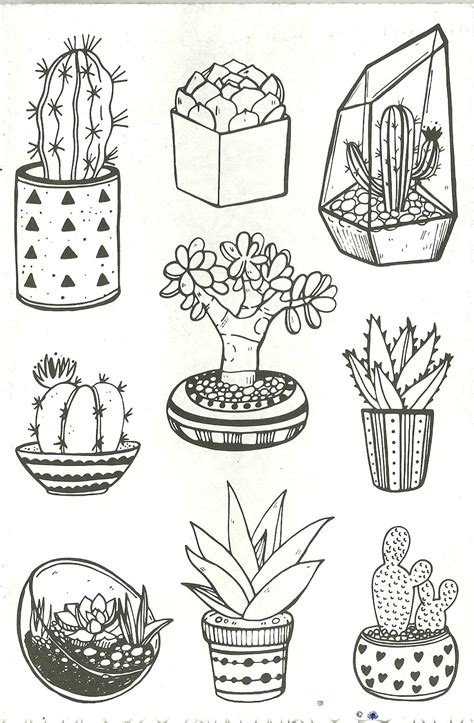 Outstanding aesthetic coloring pages photo. succulents and cacti's | Coloring pages, Adult coloring ...