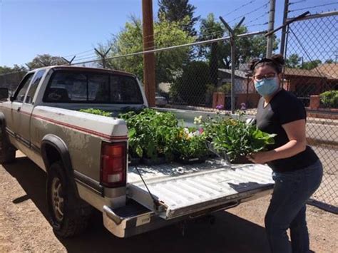 Abq Biopark Gives Victory Garden Starts To Local Non Profits For