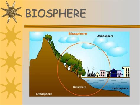 Ppt Reference Modern Biology Chapter 19 23 Powerpoint Presentation