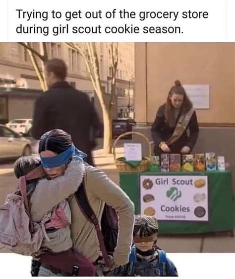 Pin By Jason Mclead On Funny Stuff In 2020 Girl Scout Cookies Girl