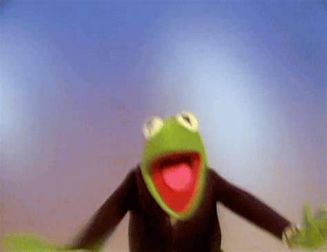 excited kermit s find and share on giphy