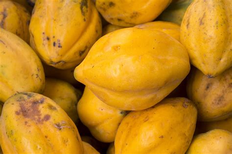 Can you eat green papaya? How To Ripen A Papaya: Getting Sweet Papaya In 4 Easy ...