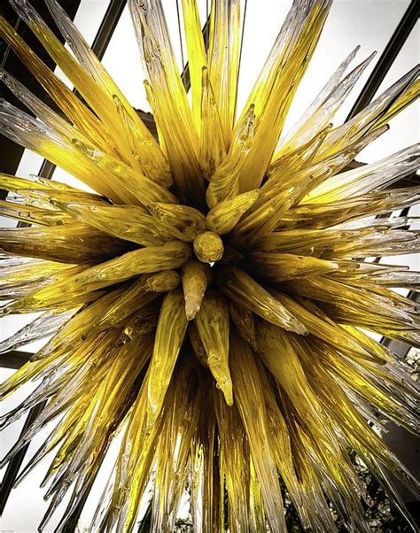 Yellow Explosion And Other Fine Art Available At Aaron Geraud