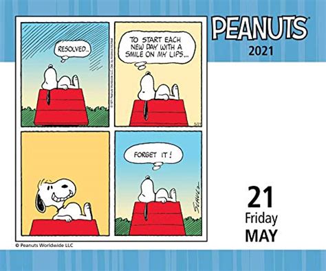 Peanuts 2021 Day To Day Calendar Pricepulse