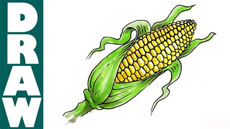 How To Draw A Corn Cob Youtube