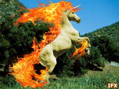 Real Life Rapidash By Infinityfangx On Deviantart