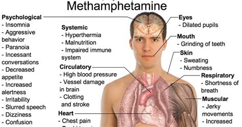 Since creatine is one of the few supplements that reliably increases performance, along with boasting a good safety profile, 2 such a side effect would be a. Creatine Side Effects - The Good, the Bad and the Ugly ...