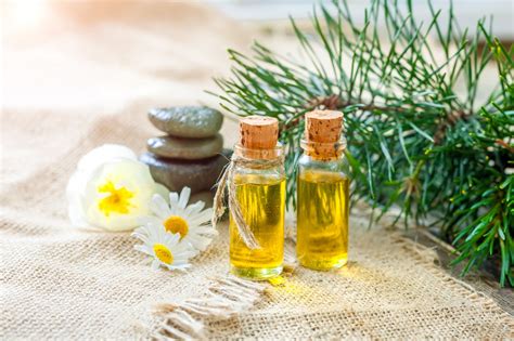 Essential Oils Guide: 7 Facts You Never Knew About Essential Oils