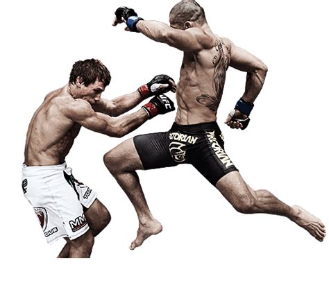 Kickboxing Png Transparent Image Download Size 505x446px