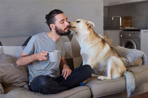 Cómo Demuestran Cariño los Perros Cuando tú quieres a alguien