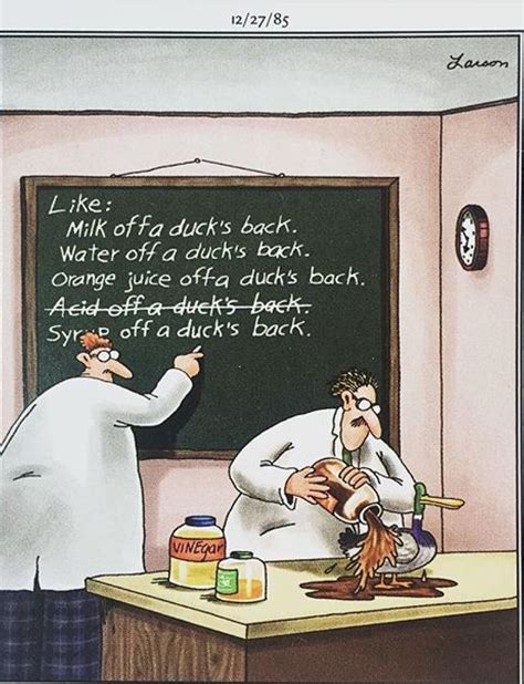 17 Best Images About Far Side Cartoons On Pinterest Gary