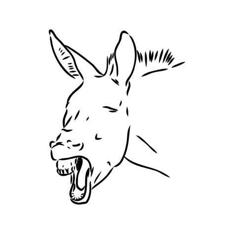 Donkey Vector Sketch 36380294 Vector Art At Vecteezy