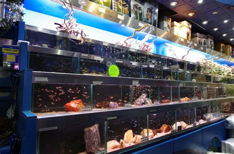 The subreddit for anything related to aquariums! Visit our London shop for Aquariums / Fish Tanks, Marine ...