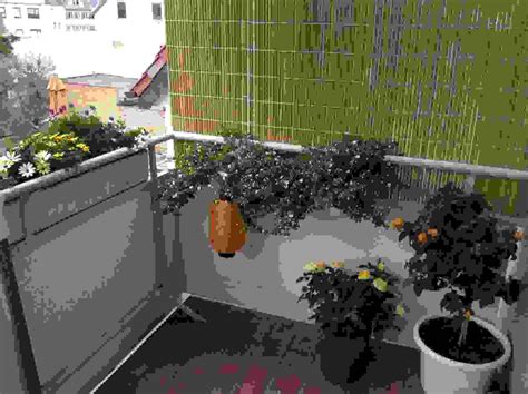 Sichtschutz balkon seitlich video über einige seichlich balkon sichtschutz, kann hoffentlich. Balkon Sichtschutz Seitlich Ohne Bohren Ist Tolle Ideen ...