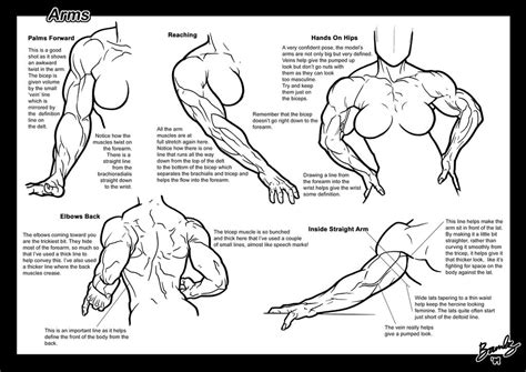 Tutorial Arms By Bambs On Deviantart