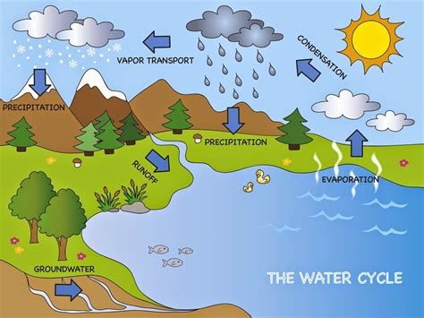 Earths Water Supply Lesson Plans For Elementary Water Cycle Water