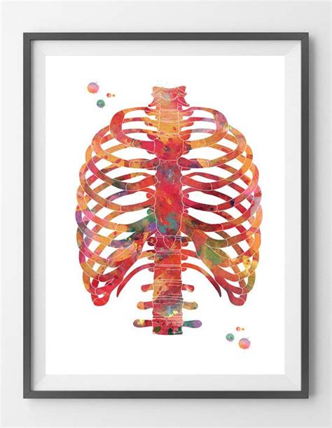 Rib Cage Watercolor Print Anatomy Art Thorax Poster Medical Art