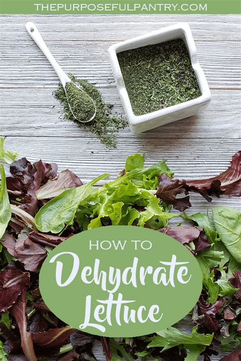 They should keep proportionately longer if stored at cooler temperatures. How to Dehydrate Lettuce the Right Way! | Dehydrated ...