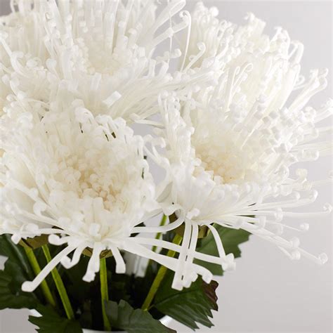 Check spelling or type a new query. White Artificial Spider Mum Stems - Fall Florals - Fall ...