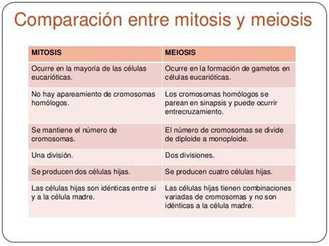 Diferencias Entre Mitosis Y Meiosis Cuadro Comparativo Cuadros