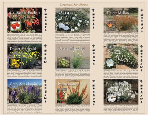 Guide To Native Plant Landscaping