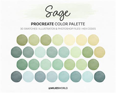 Sage Procreate Color Palette Color Swatches IPad Etsy