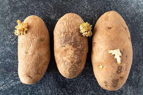 How To Tell If Potatoes Are Bad Spots Green Soft Wrinkled