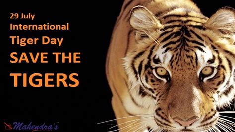 29 July International Tiger Day Save The Tigers
