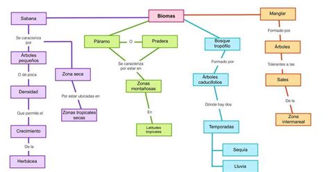 Cuaderno De Biologia Mapa Conceptual De Biomas