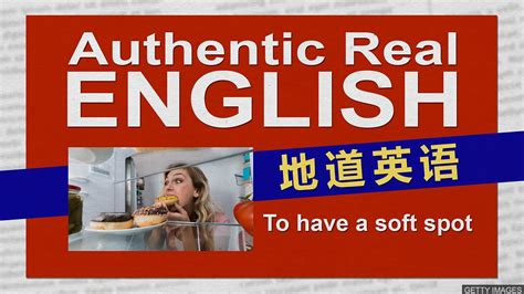 BBC Learning English 地道英语 To have a soft spot 情有独钟