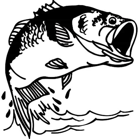Bass - Free Colouring Pages