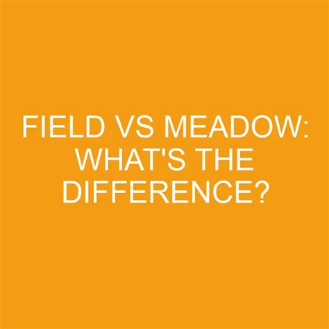 Field Vs Meadow Whats The Difference Differencess