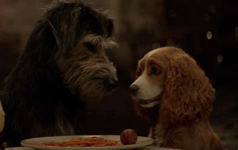 Watch First Trailer Of Disneys ‘lady And The Tramp