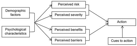 It was originally developed in the 1950s . The Health Belief Model (Adapted from Becker., 1974 ...