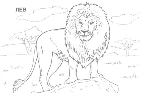 Collection of children's coloring pages with wild animals. Wild Animals Coloring Pages Printable at GetColorings.com ...