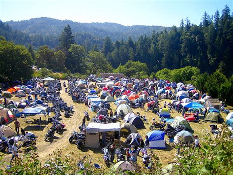 Explore over 350 million pieces of art while connecting to fellow artists and art enthusiasts. Wet T-shirt contests and Redwoods | RidersRecycle.com Blog
