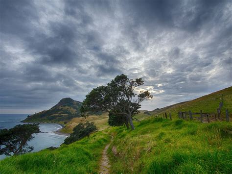 30984 views | 19604 downloads. New Zealand Desktop Wallpaper Hd Widescreen Free Download For Windows : Wallpapers13.com