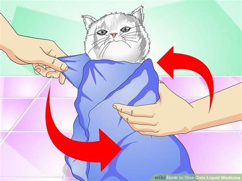 To ensure that your cat swallows all of the medication, it is best to mix it into a small amount of canned food that you feed by hand, rather than mixing it into a full bowl of food that the cat may not completely eat. How to Give Cats Liquid Medicine: 11 Steps (with Pictures)